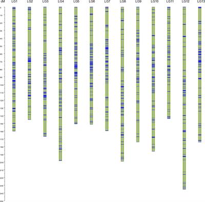 QTL mapping reveals candidate genes for main agronomic traits in Luffa based on a high-resolution genetic map